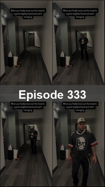 Episode 333